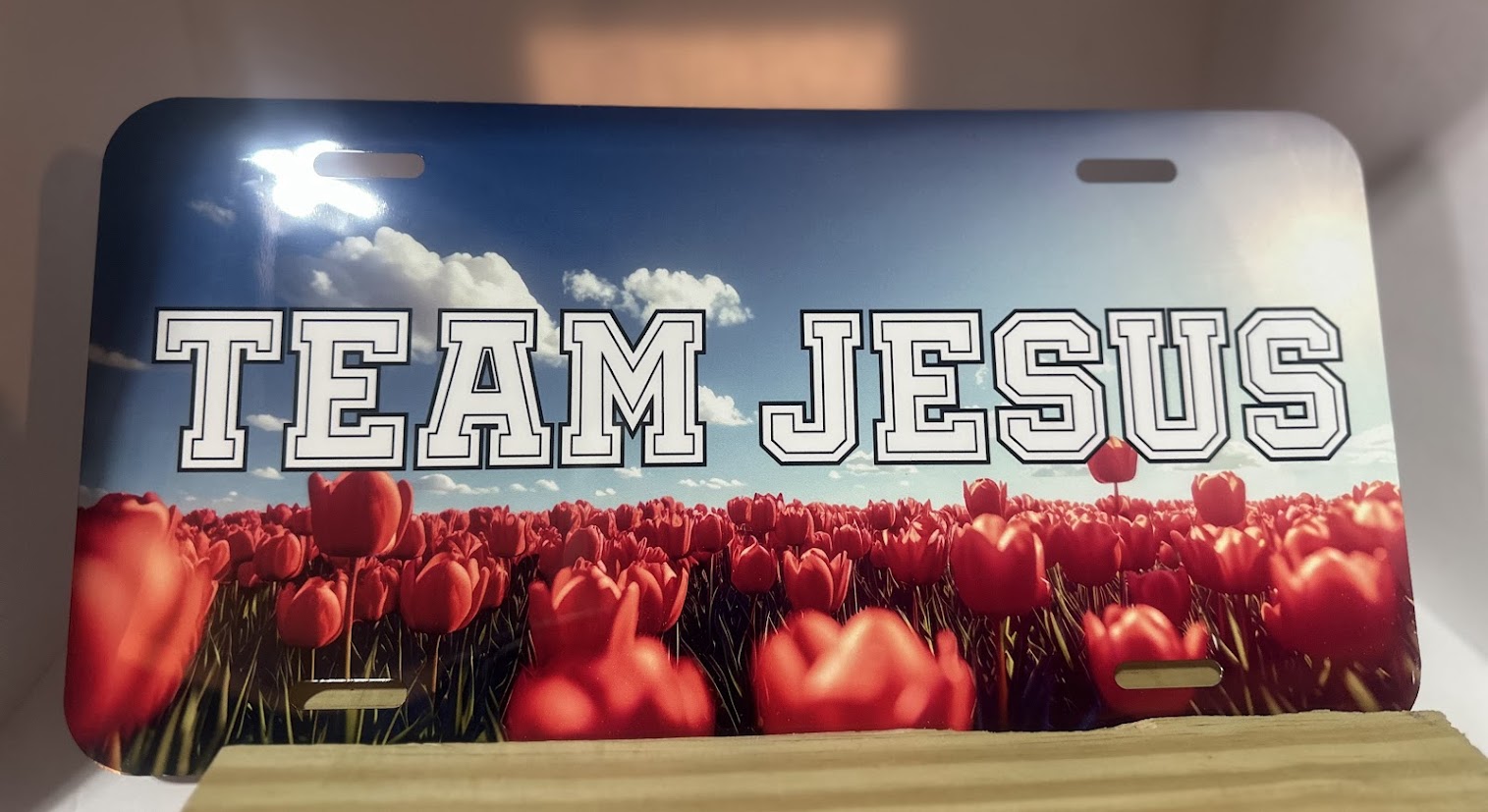 Sublimation License Plates